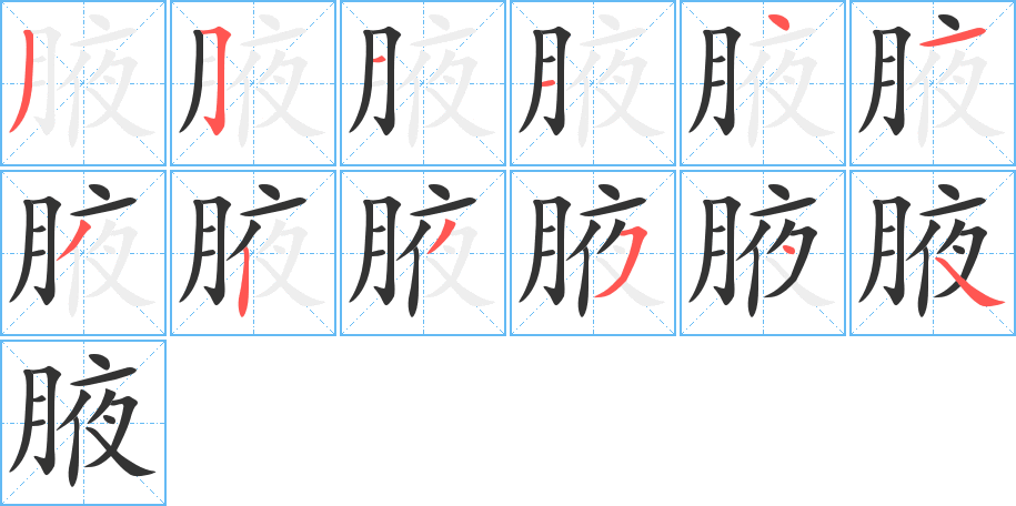 腋字完整笔顺步骤图