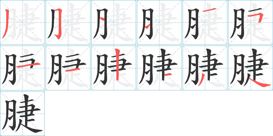 脻字笔顺步骤