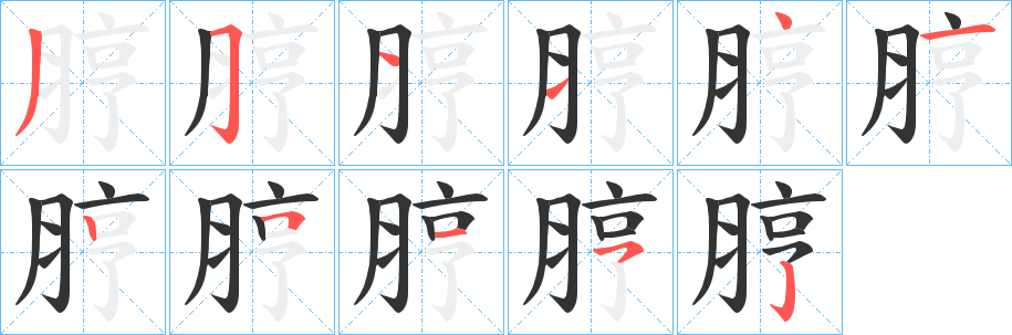 脝字笔顺步骤
