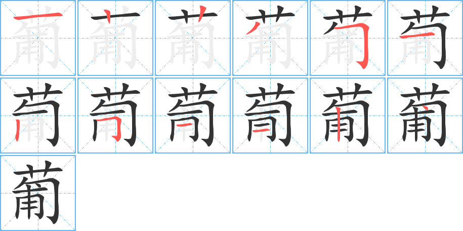 葡字完整笔顺步骤图