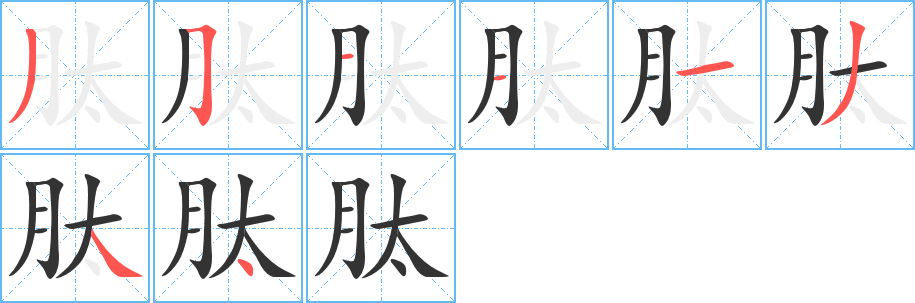 肽字完整笔顺步骤图