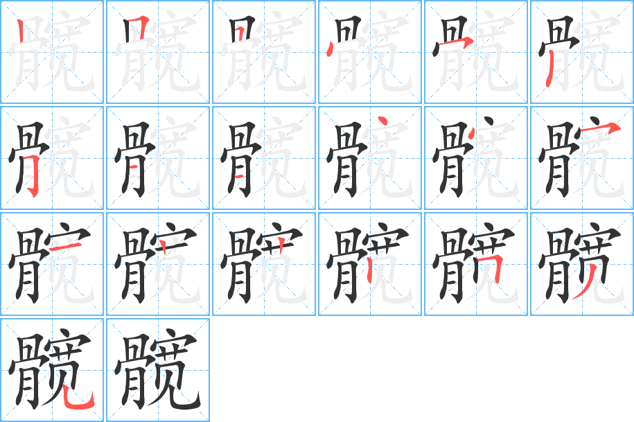 髋字完整笔顺步骤图