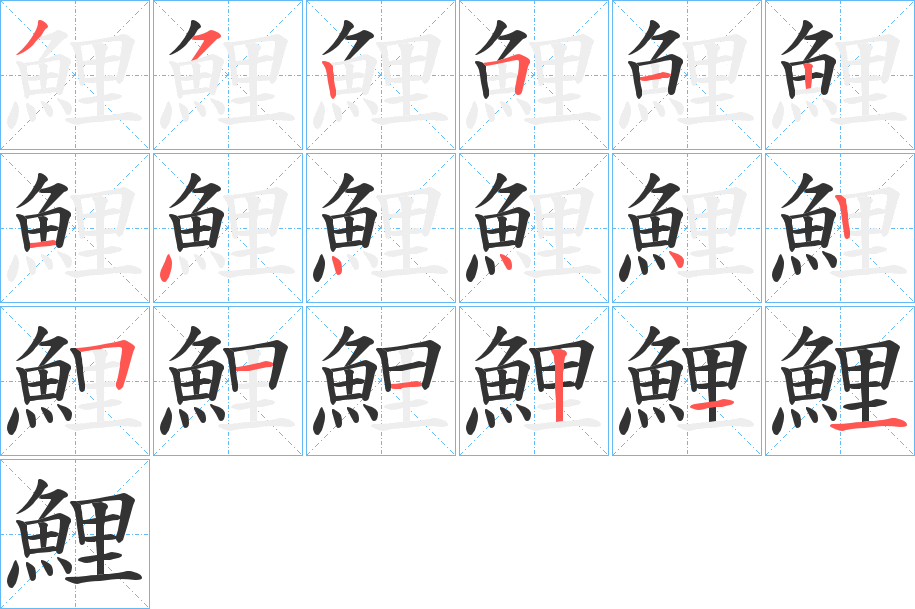 鯉字完整笔顺步骤图