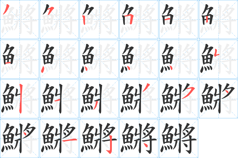 鱂字完整笔顺步骤图