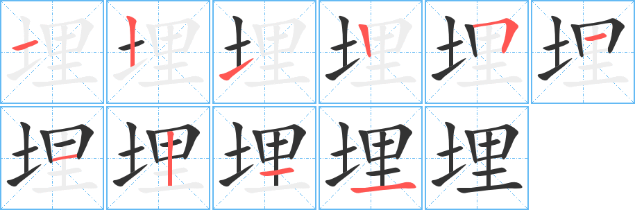 埋字完整笔顺步骤图