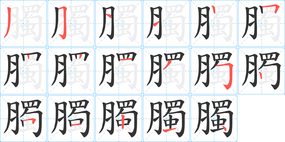 臅字笔顺步骤