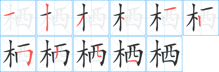 栖字完整笔顺步骤图