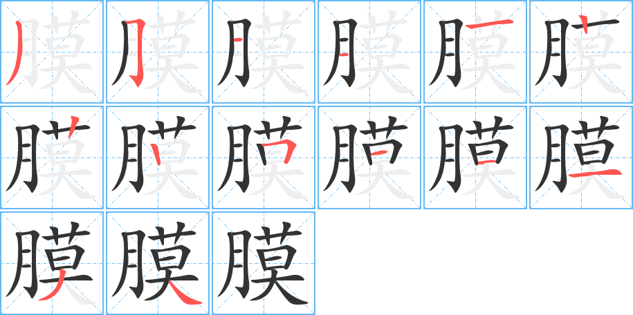 膜字完整笔顺步骤图