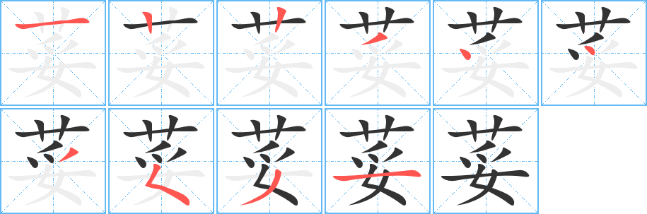 荽字完整笔顺步骤图