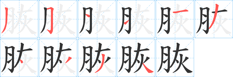 脄字笔顺步骤
