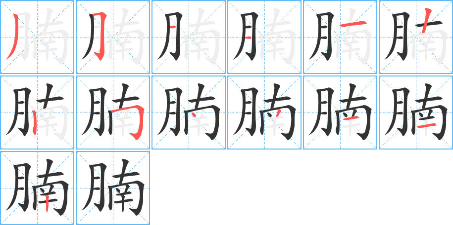 腩字完整笔顺步骤图