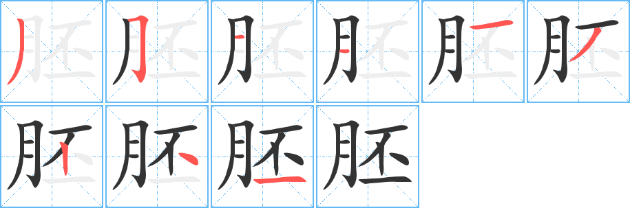 胚字完整笔顺步骤图