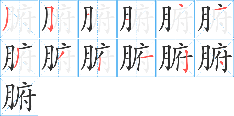 腑字完整笔顺步骤图