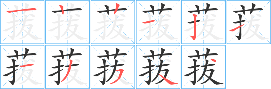 菝字完整笔顺步骤图