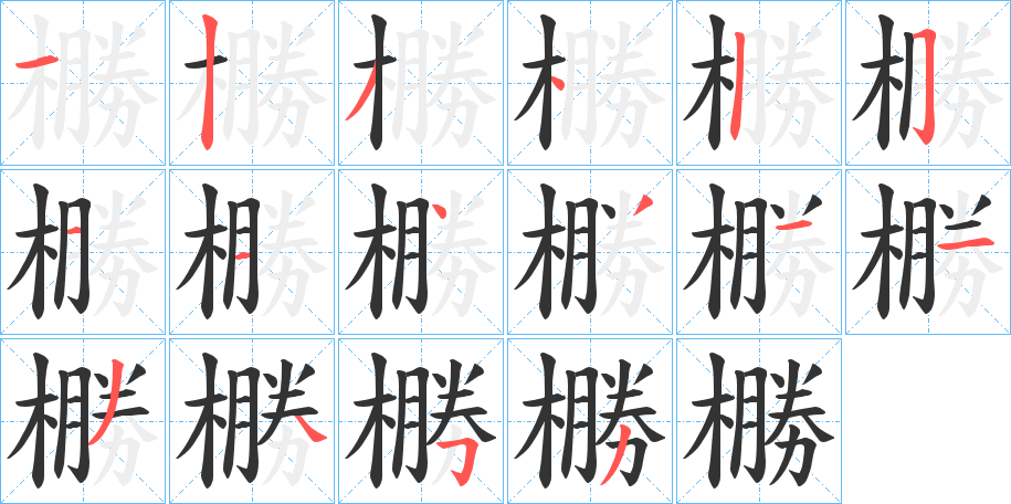 橳字完整笔顺步骤图