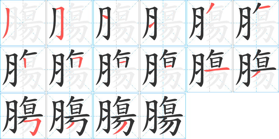 膓字笔顺步骤