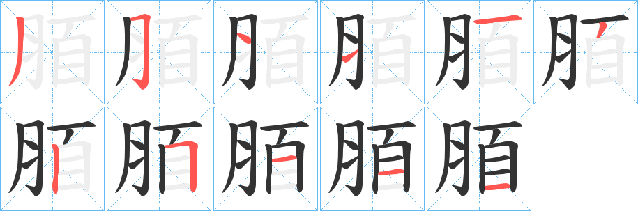脜字笔顺步骤