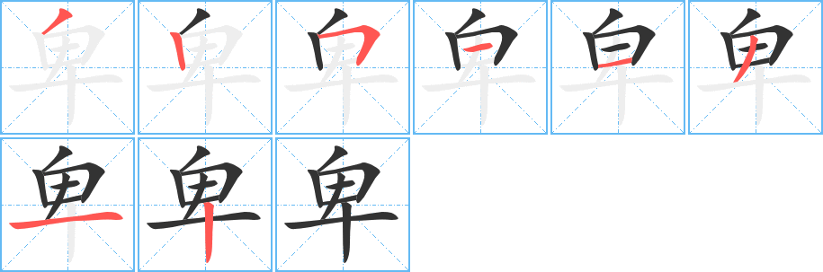 卑字完整笔顺步骤图