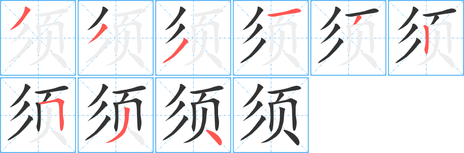 须字完整笔顺步骤图
