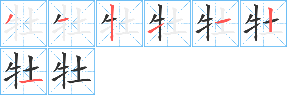 牡字完整笔顺步骤图
