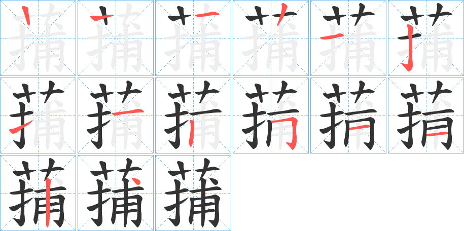 蒱字笔顺步骤