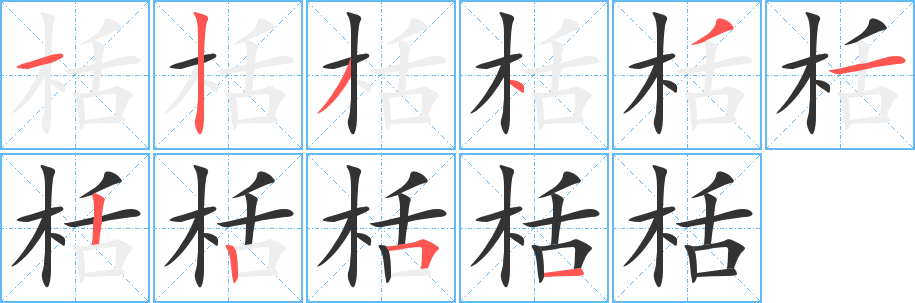 栝字完整笔顺步骤图