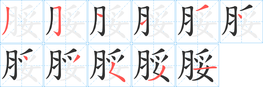 脮字笔顺步骤