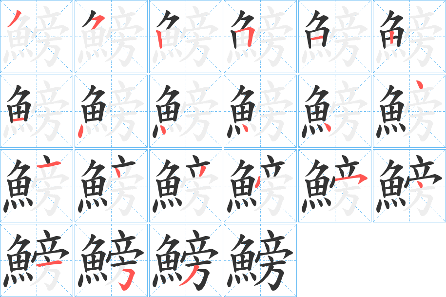 鰟字完整笔顺步骤图