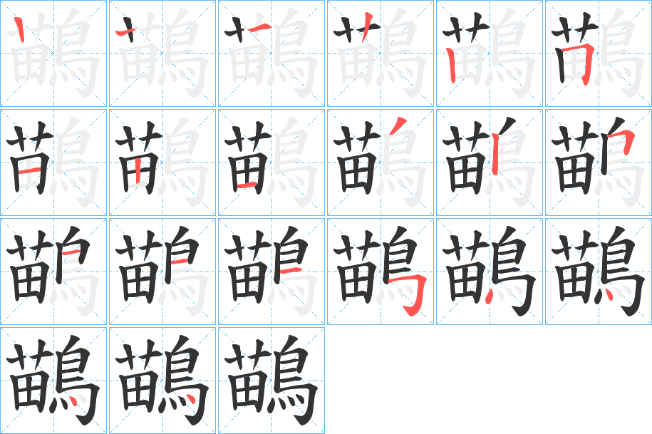 鶓字完整笔顺步骤图