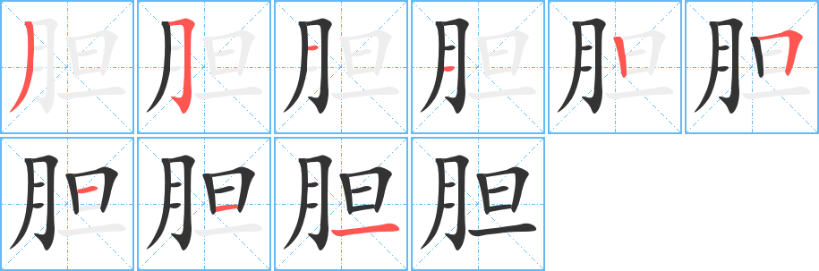 胆字完整笔顺步骤图