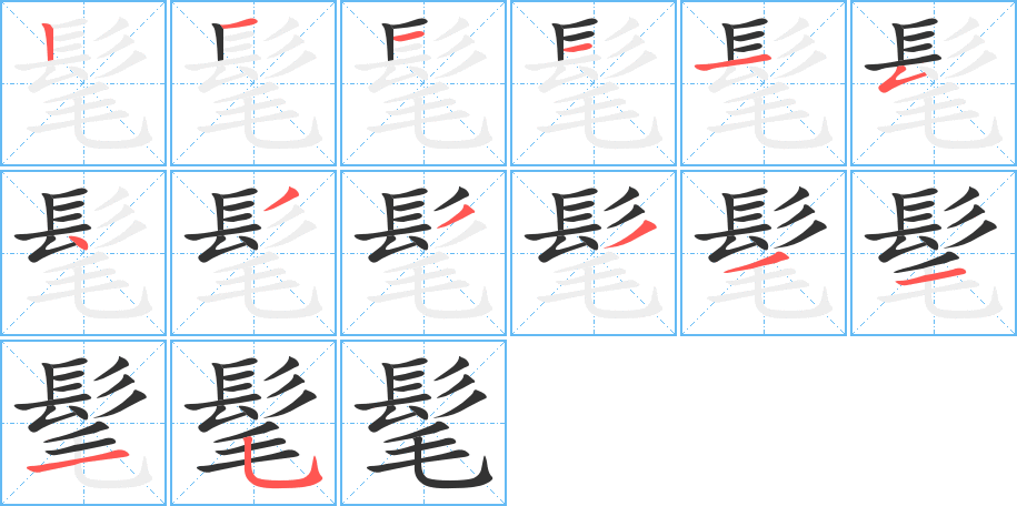 髦字完整笔顺步骤图