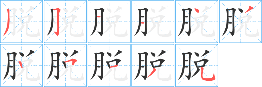 脱字完整笔顺步骤图