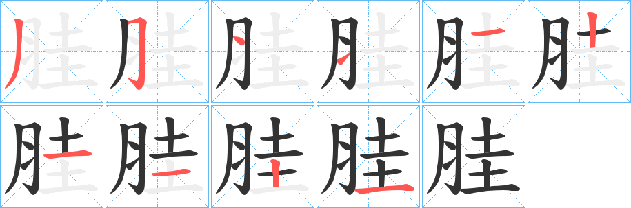 胿字笔顺步骤