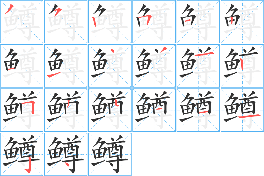 鳟字完整笔顺步骤图