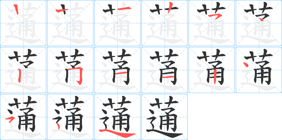 蓪字笔顺步骤