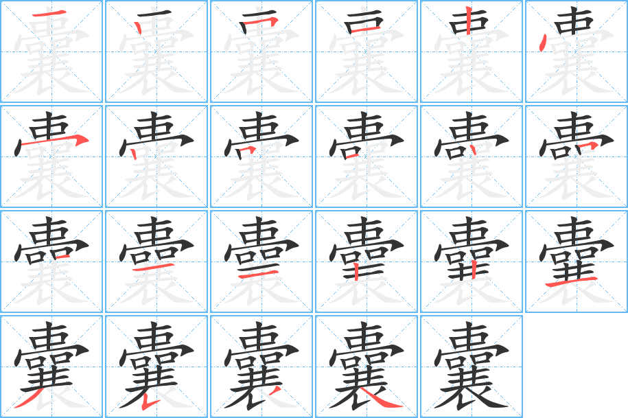 囊字完整笔顺步骤图