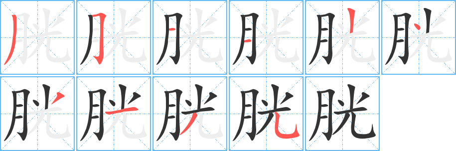 胱字完整笔顺步骤图