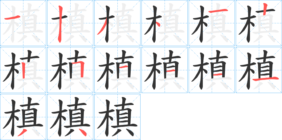 槙字完整笔顺步骤图