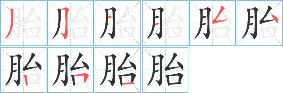 胎字完整笔顺步骤图