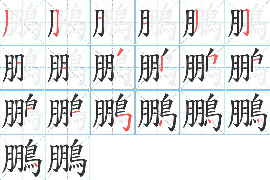 鵬字完整笔顺步骤图