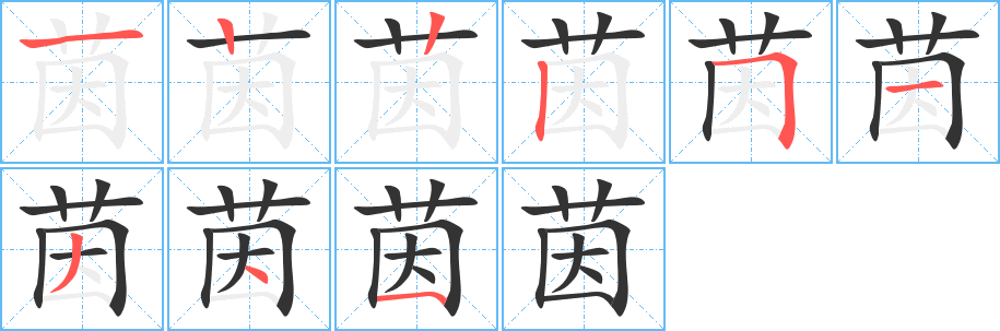 茵字完整笔顺步骤图