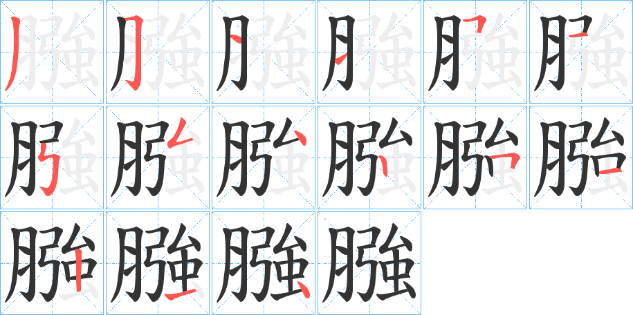 膙字完整笔顺步骤图