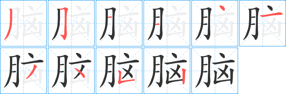 脑字完整笔顺步骤图