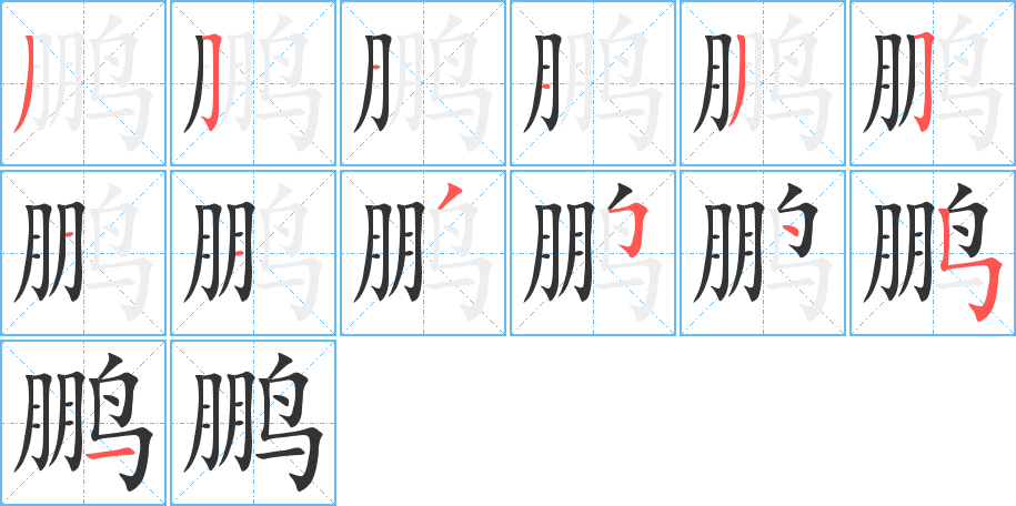 鹏字完整笔顺步骤图