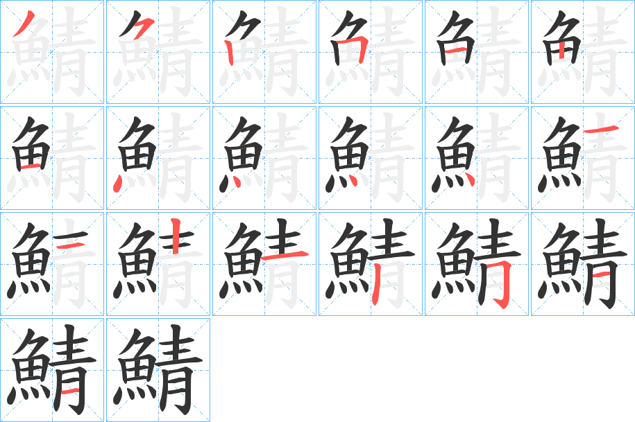 鯖字完整笔顺步骤图