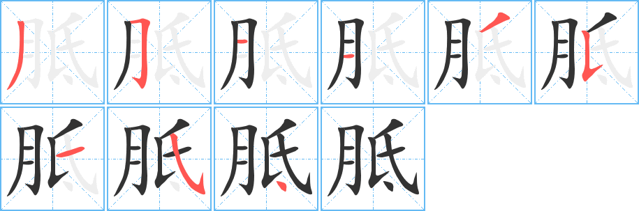 胝字完整笔顺步骤图