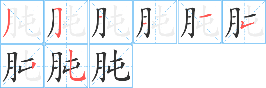 肫字完整笔顺步骤图