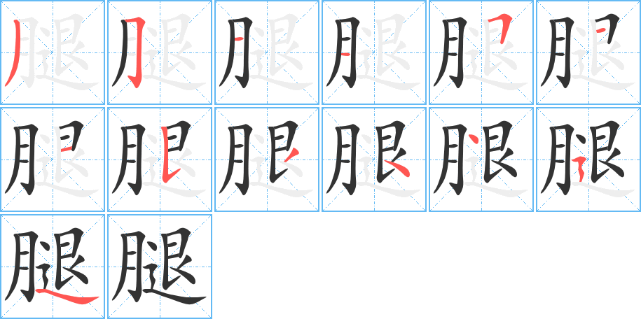 腿字完整笔顺步骤图