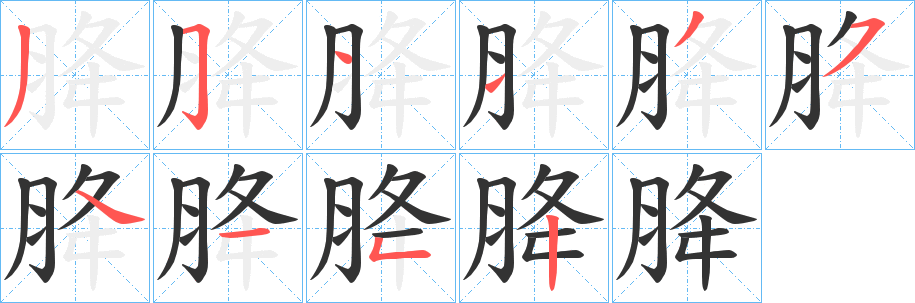 胮字笔顺步骤