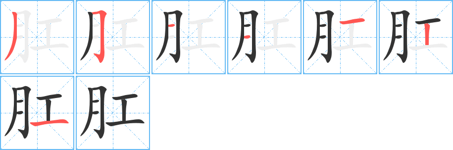 肛字完整笔顺步骤图